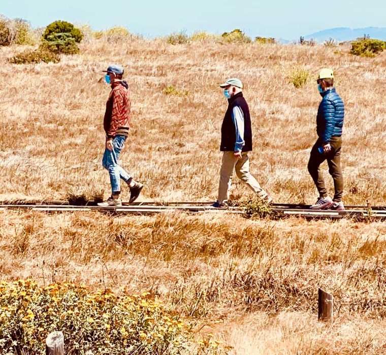 Three men of varying ages walking on a trail in Fiscalini Ranch in Cambria, California.